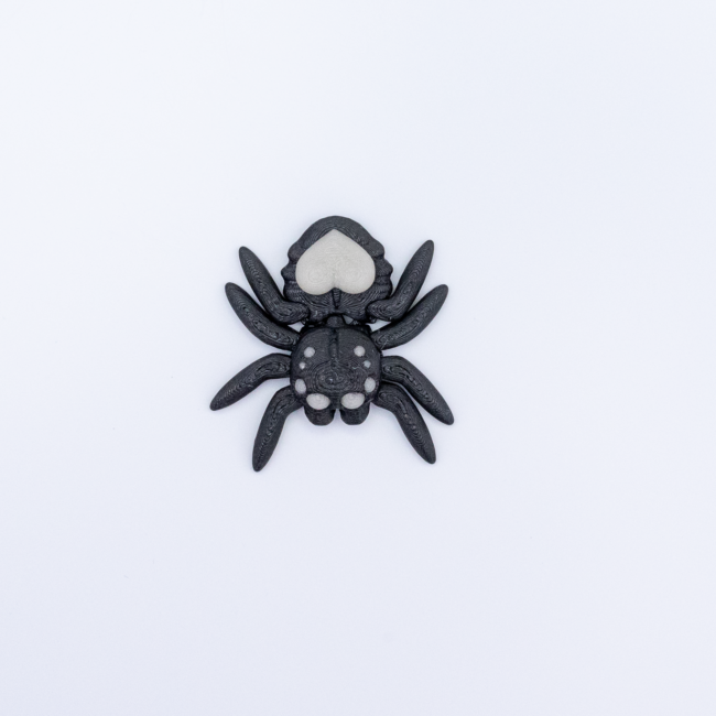 Spider